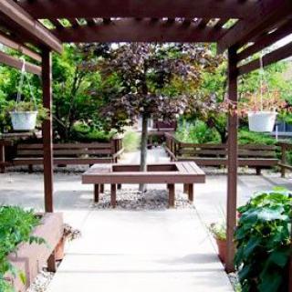 A tranquil garden with a pergola, surrounded by benches and hanging plants.