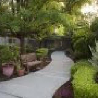 A tranquil garden pathway lined with lush greenery and a wooden bench.