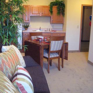 A cozy apartment living area with a small kitchen, featuring a sofa, dining table with chairs, and an indoor plant.