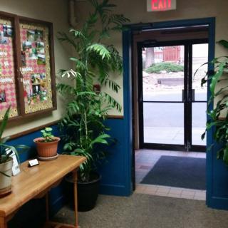 A welcoming office entrance with potted plants and a glass doorway.