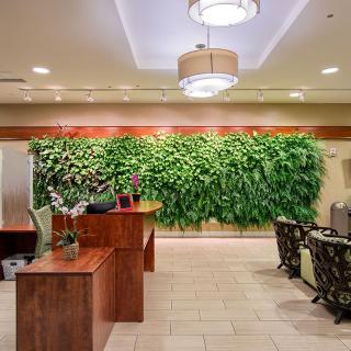 Modern office reception area with a green wall and stylish furniture.
