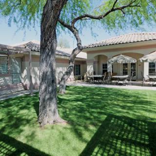 A residential backyard with a lush lawn, a large tree providing shade, and a patio area.
