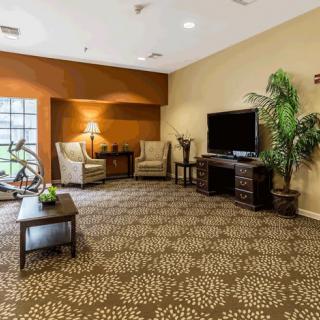 A cozy living room with armchairs, a television, and decorative plants.