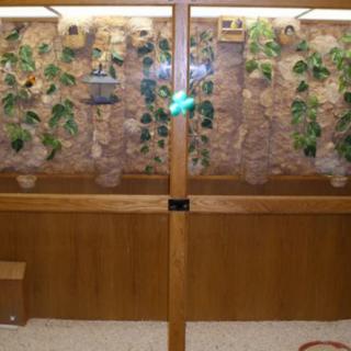 A large indoor terrarium with various plants enclosed within a wooden frame.