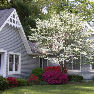 A quaint house surrounded by a vibrant garden with blooming trees and flowers.