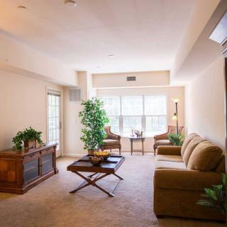 A cozy living room with a sofa set, coffee table, and plants near a large window.