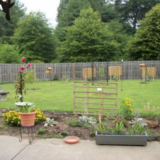 A backyard garden with flowering plants and a wooden fence, surrounded by trees.