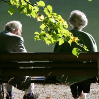 An elderly couple sitting together on a park bench enjoying nature.