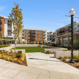 A modern apartment complex featuring landscaped outdoor spaces during the daytime.