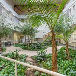 A lush indoor atrium filled with various plants and trees, featuring a winding walkway amidst the greenery.