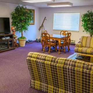 Cozy living room with patterned furniture, a TV, and artificial plants.
