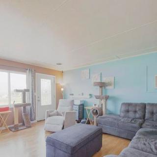 A cozy living room with a blue accent wall, comfortable seating, and a cat tree by the window.
