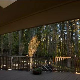 A serene outdoor deck overlooking a sunlit forest.