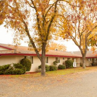 A peaceful residential building surrounded by trees with vibrant autumn foliage.