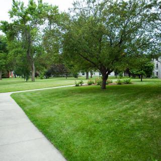 A scenic view of a park with lush green grass, trees, and a winding pathway.
