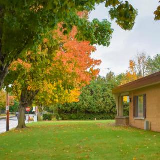A suburban house surrounded by trees with vibrant autumn leaves.