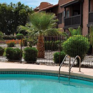 A serene outdoor swimming pool at an apartment complex, surrounded by palm trees and vibrant landscaping.