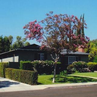 A suburban house with a well-maintained lawn and a blooming tree in front.