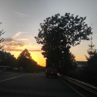 A serene drive alongside a picturesque sunset.