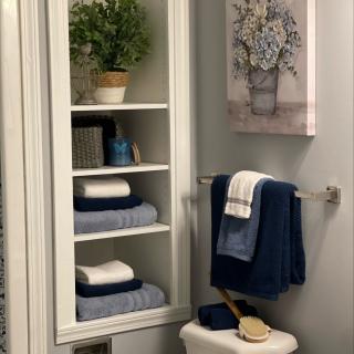 A neatly organized bathroom with blue and white towels, a potted plant on a shelf, and floral artwork on the wall.
