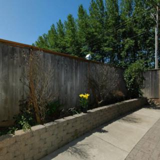 A garden with a concrete path lined with plants and trees, bordered by a wooden fence.