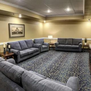 A cozy and well-furnished living room with multiple sofas arranged around a large carpet.