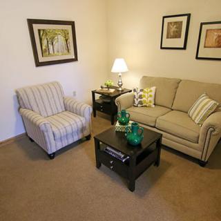 A cozy living room with a sofa, armchair, coffee table, and decorative elements.