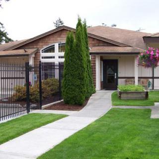 A suburban house with a well-maintained lawn and sidewalk, featuring a fence and decorative trees.