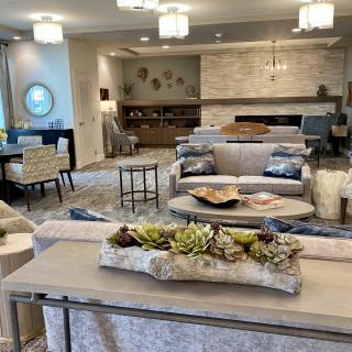 A modern living room with stylish furniture and decorative plants.