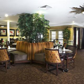 A cozy restaurant dining area with tables and chairs, surrounded by decorative plants.
