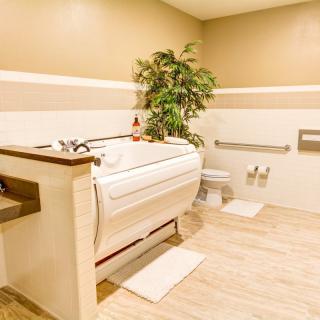 A modern, accessible bathroom featuring a walk-in bathtub and a decorative plant.