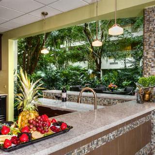 A modern kitchen with a countertop displaying fresh fruits and a scenic view of indoor plants.
