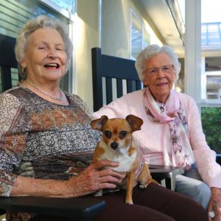 Two elderly women sitting on rocking chairs with a dog on a porch, smiling and enjoying the outdoors.