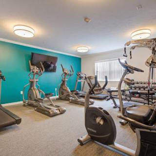 A modern gym equipped with various exercise machines and weights.