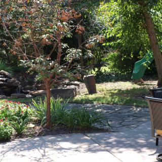 A sunny backyard garden with trees and a patio area.