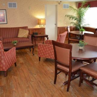 A cozy living room setting with wooden flooring, featuring a sofa, armchairs, dining tables, and an indoor plant.
