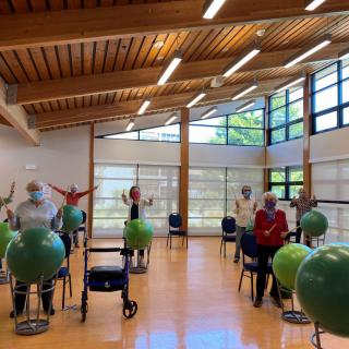 A group of seniors participating in an indoor exercise class with fitness balls.