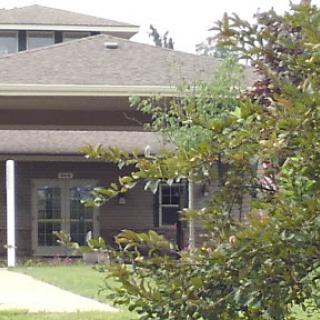 A view of a residential house surrounded by greenery.