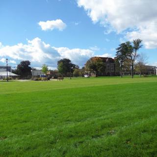 A serene park scene featuring lush green grass under a partly cloudy sky.