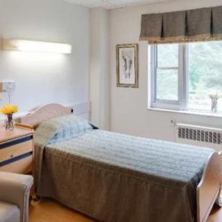 A hospital room with a single bed and decor.