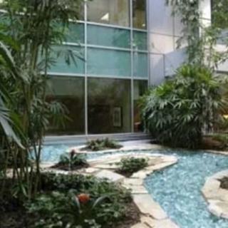 A tranquil indoor garden with lush greenery and a stone pathway, set against the backdrop of modern glass windows.