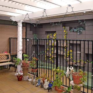 A cozy patio space adorned with potted plants and decorative items, featuring a bench and a surrounding fence.