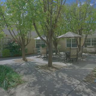 A shaded outdoor patio area with tables and chairs surrounded by trees.