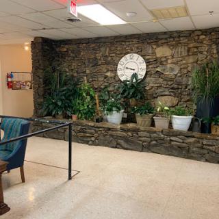 A cozy indoor space featuring a stone wall, a large wall clock, and various potted plants.