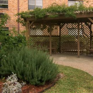 A peaceful garden with a wooden pergola surrounded by lush greenery.
