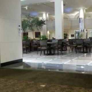 An empty dining area with tables, chairs, and indoor plants.