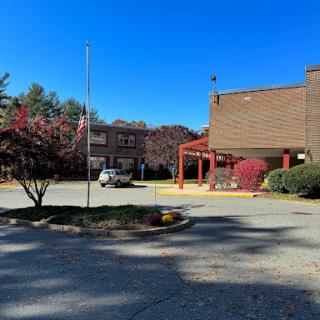 A sunny day at a building entrance with decorative trees and an American flag.