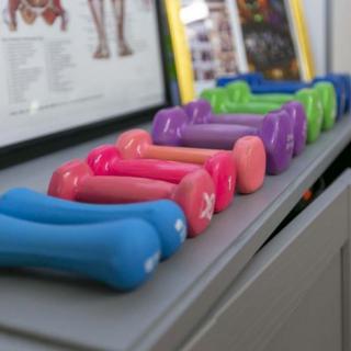 A row of colorful dumbbells lined up on a shelf, ready for a workout.