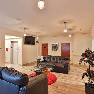 Modern living room with leather sofas, a television, and stylish decor.