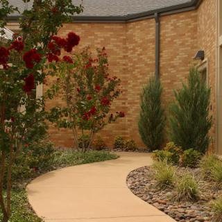 A landscaped garden pathway alongside a brick building, featuring vibrant flowers and shrubs.